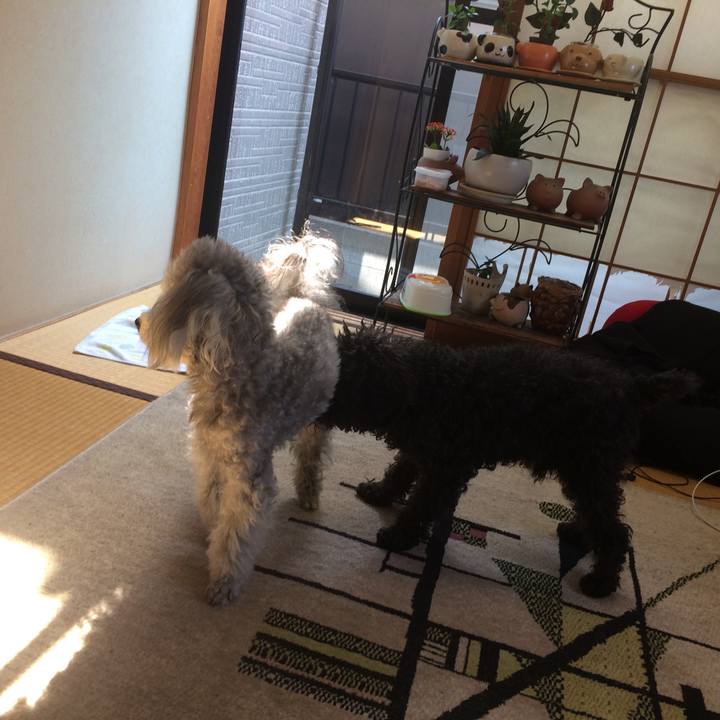 A458a753 0ab2 49b8 92b4 90f356d89c8e 1520155115501