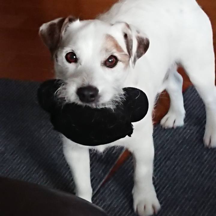 A458d7f3 2e85 4748 bbfb 09dfad00be9f 1528672649654