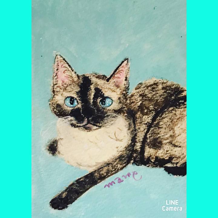 A458dc18 2def 47cb a8fd f16186b8389d 1606705976048