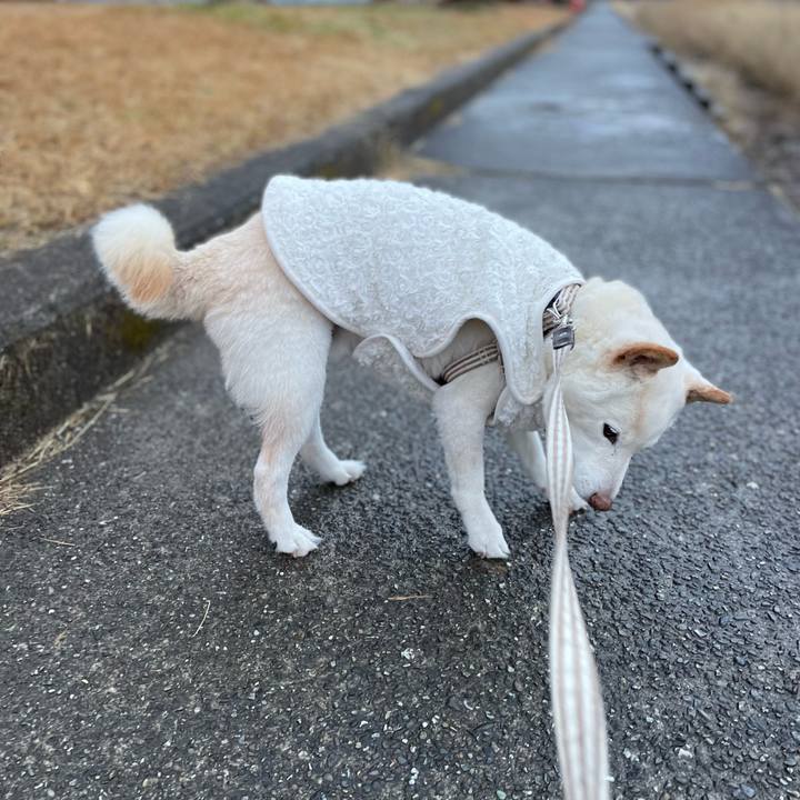 A458e88d ec92 4a74 8bc3 d29aadc55918 1646206008581