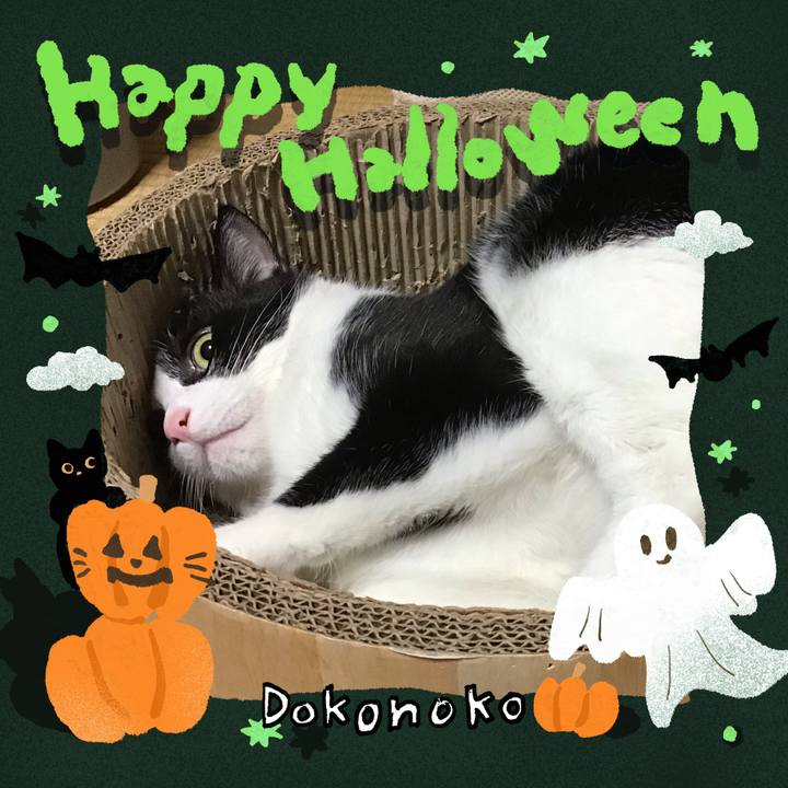 A458ed35 ee29 4e34 8d0a 9df4ea7ae0c0 1729251621759