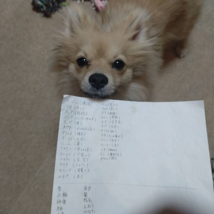 A458f1ae c8fe 4753 9e75 e017ac00f849 1744880633902