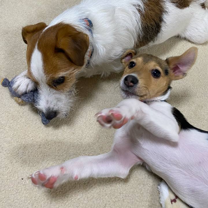 A458fc1e 2bbc 4882 8be3 7756b4815c5e 1744984533274