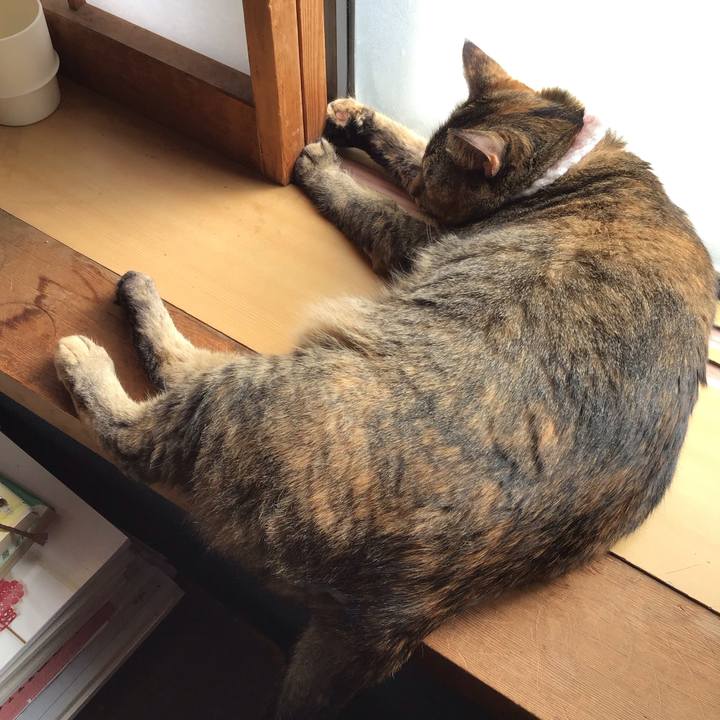 A4596f70 6ad8 489c a810 f35765418c9e 1727777639129