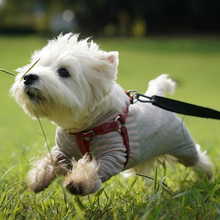 A4598b78 4b47 4df2 b15e d269aa269118 1536803100324