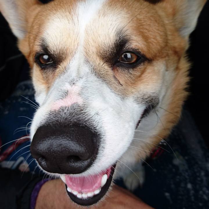 A459b903 1029 4b72 b376 88aee2657234 1617024611040