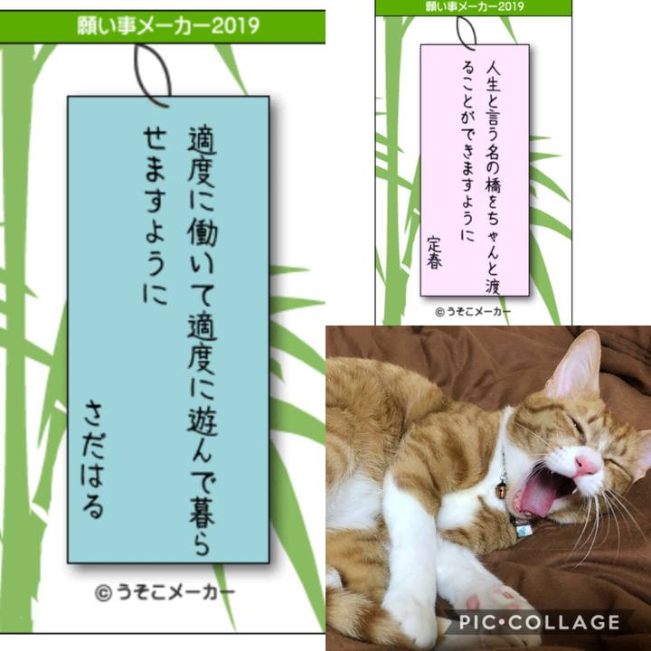 A459bcf8 8dde 4e1c a7a9 709212a8ad40 1562499176197