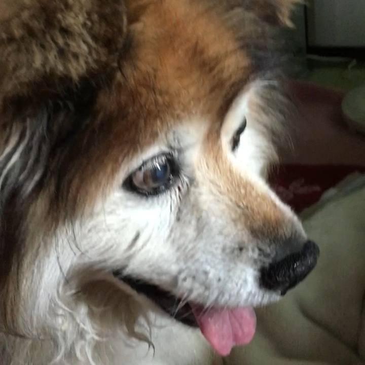 A459db95 7317 4231 9575 be7e42aca345 1572408034085