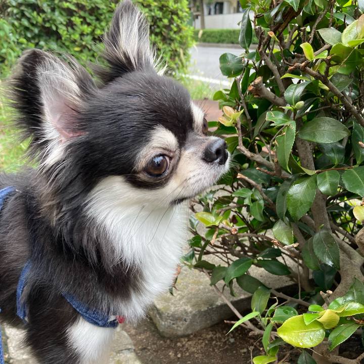 A459eb15 cbaa 445e 9f71 4e07fe95b829 1631419865325