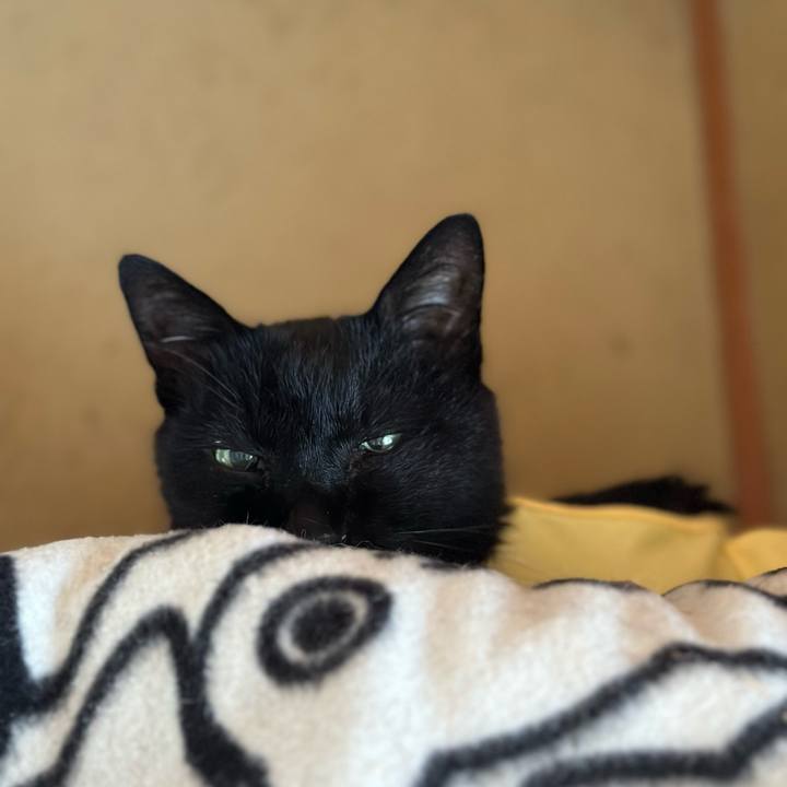 A45a01f8 d747 4169 8578 1db24a6710cb 1717551245585