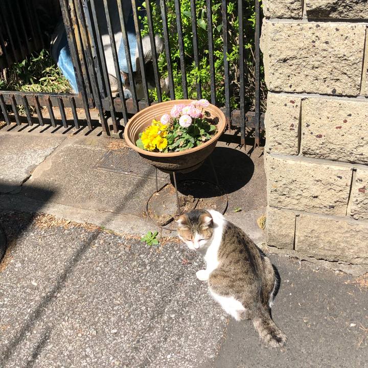 A45a1855 7d68 46af 9efe 5f6cd2f2e8c0 1585415272494