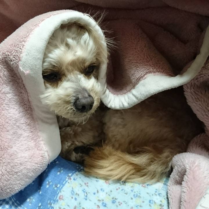 A45a23d8 5843 45eb 8d7e cf88713d5deb 1586679780274