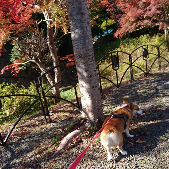 A45a43ef 2aa7 4d0f b11d 7867dc1840fc 1638410589704