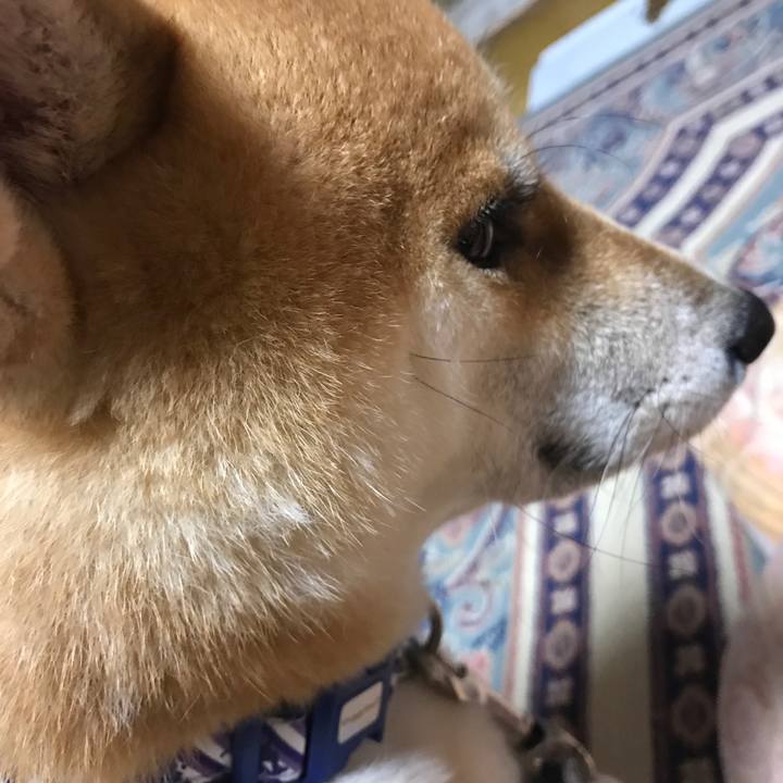 A45a5d71 980a 4b3c bfbe 2686cf9c97a7 1547038360927