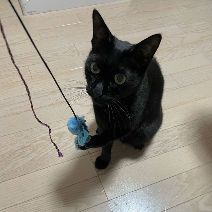 A45a7c9e 8b28 477c a711 97422fa7101e 1757676078457