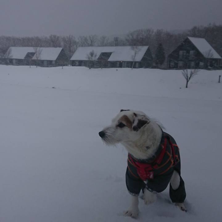 A45a7e05 8138 48d3 8c73 18f395e1f7a5 1549268613967