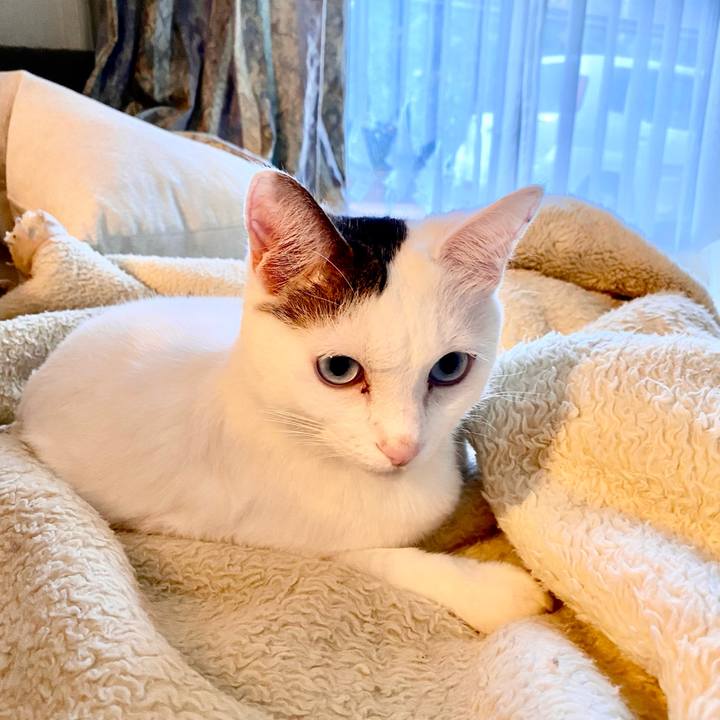 A45a9508 653f 49b0 b511 dc4c7d1b8ad5 1669934833465