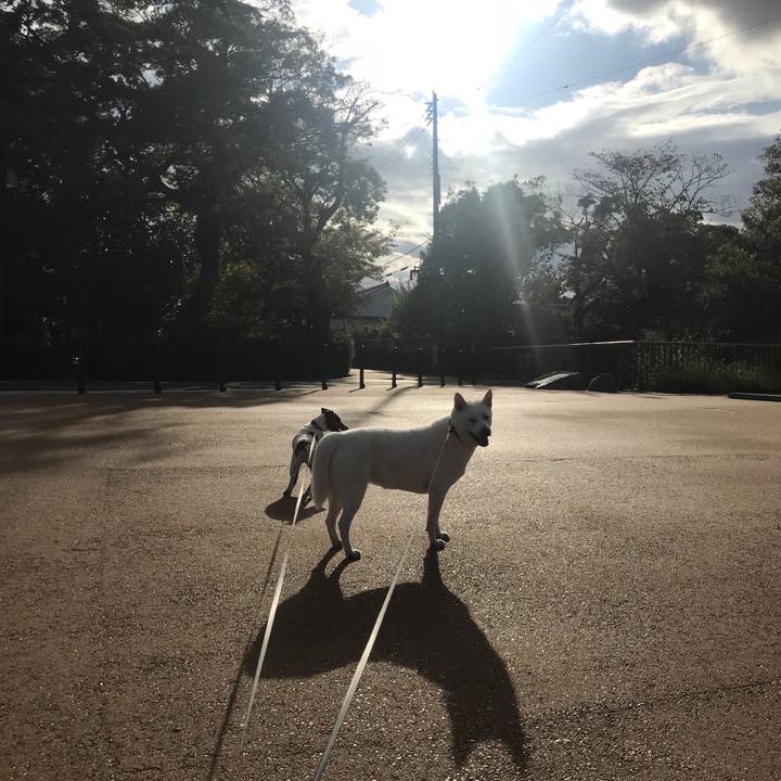 A45acade e2de 4a85 ab90 3a1a7ba00e2e 1538868833869