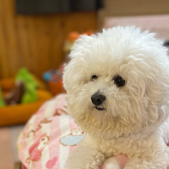 A45ad388 41e3 4fc5 b40c be2940197555 1615604469651