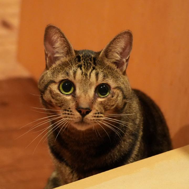 A45af440 82a5 49d9 a56a 234a4d92156e 1730156017704