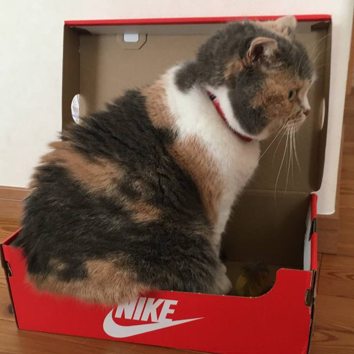 A45b0a82 5774 4b62 af01 a62091468ae0 1578789671169