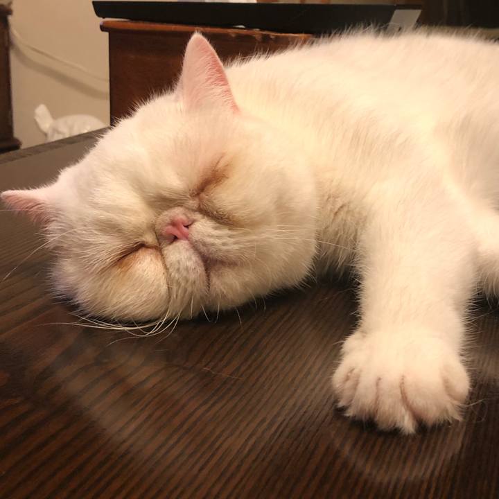 A45b97f7 5db0 4663 96fa 454e2a74e07d 1630194674373