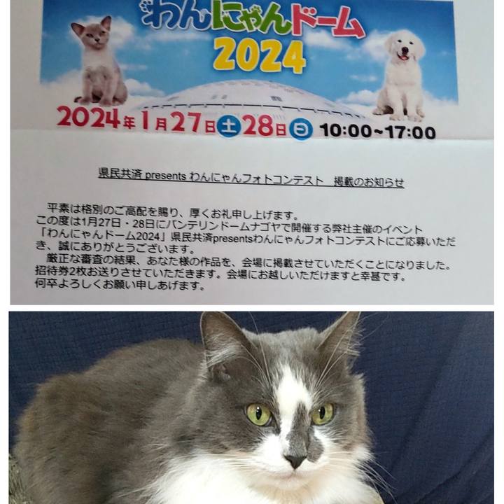 A45bcf93 daec 4088 9c91 223925a18373 1705992064425