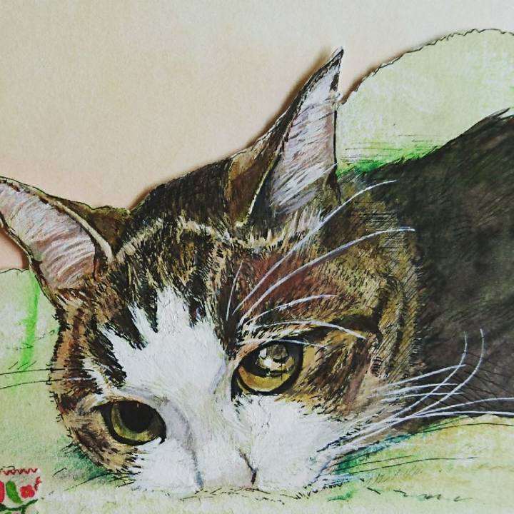 A45be867 b94d 4f94 afef 5f018ac200f5 1531698667608