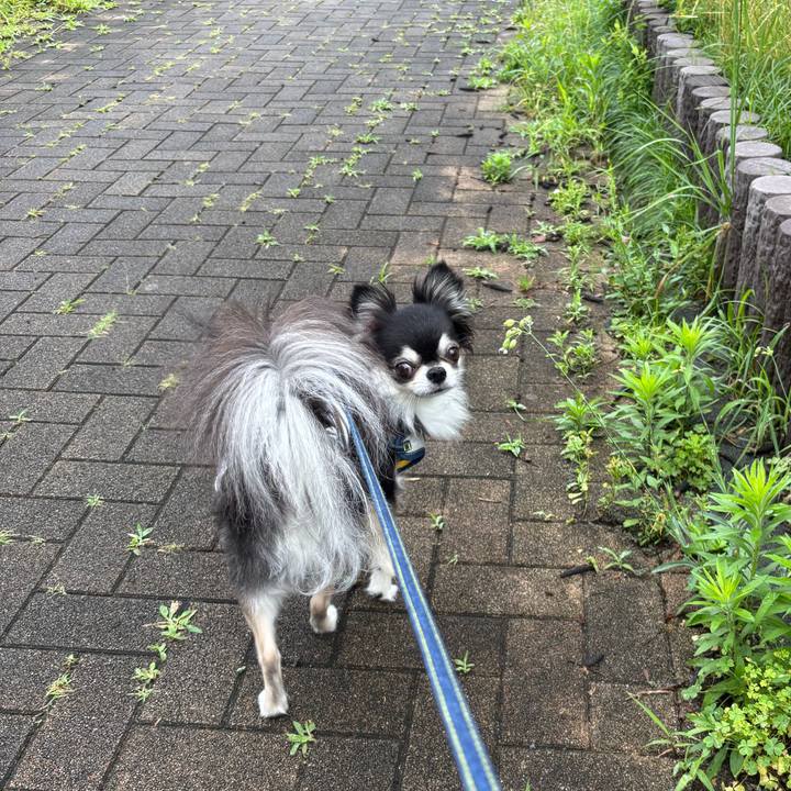 A45beed1 e4cb 4ec4 982c 7eab83271fc5 1750004623089