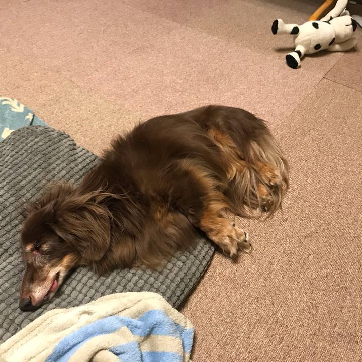 A45bfde3 d162 4ebf af7a 247522fb94e2 1570859414704