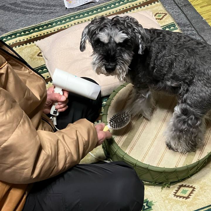 A45c0d3b 6143 4ccb b7bc c73f5e798f7b 1738236879541