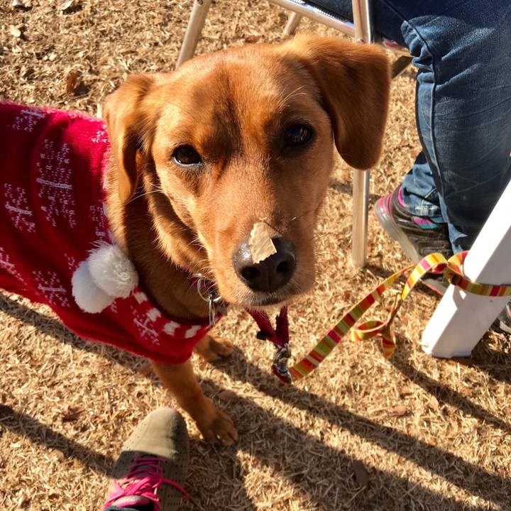 A45c109d eb14 41ec a7d5 a3ae4a54b3a5 1514870243063