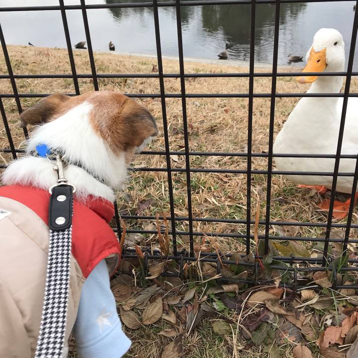 A45c9f05 2b4d 4b6b 85d4 88f41fb02e47 1578817571875