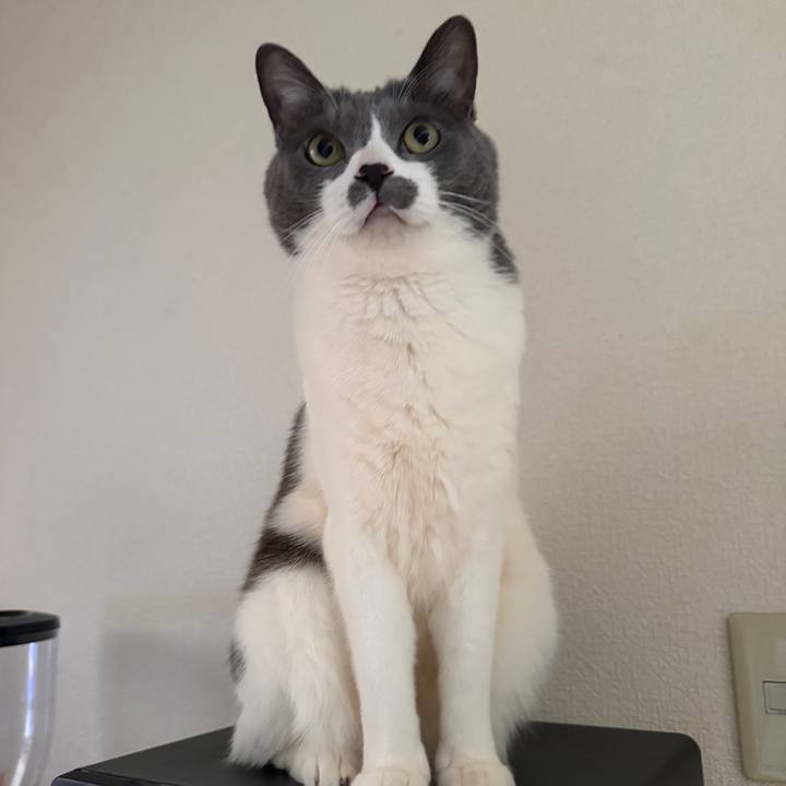 A45ca041 a94f 4242 ac02 1200465a289c 1771117253729