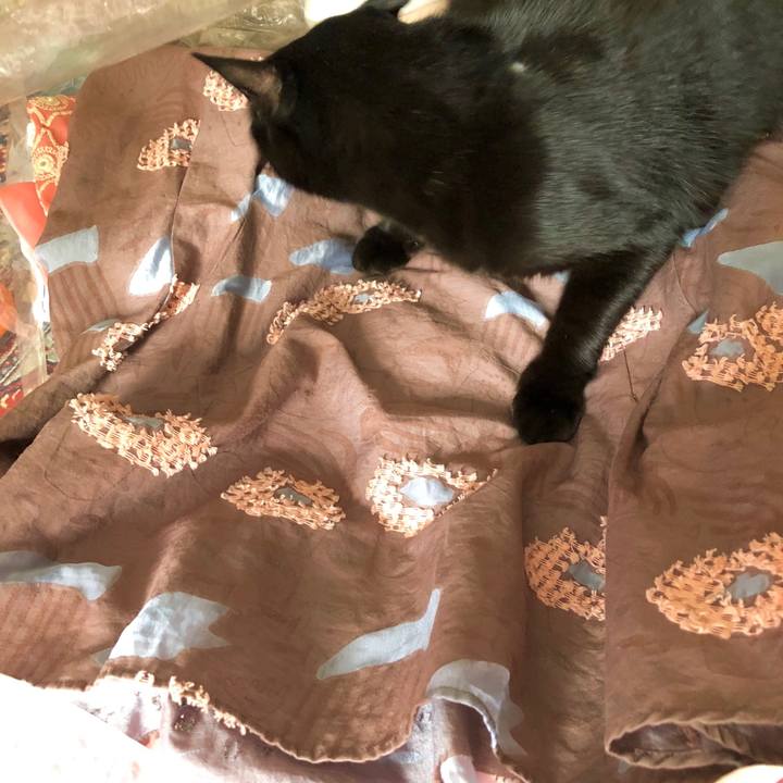 A45cb9bc 92a5 4d11 b723 19e7326c3f4f 1543718581461