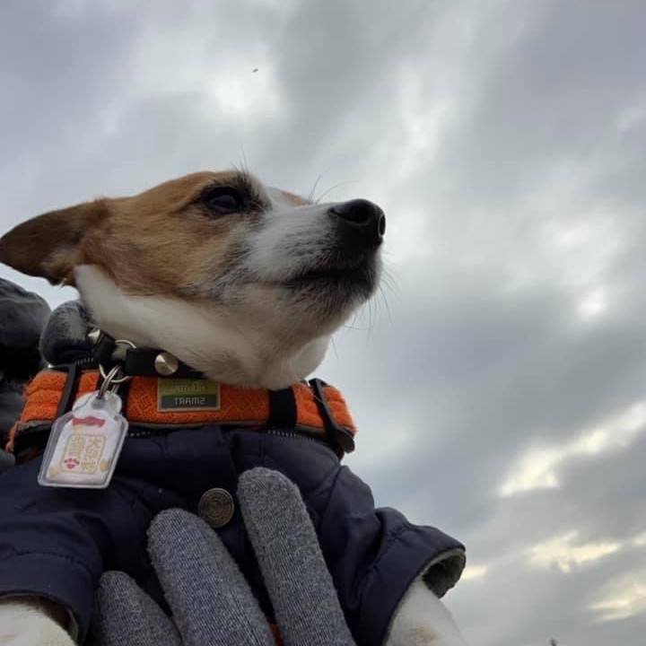 A45ceabe 6aa3 4d20 80da 394177b9596f 1673775624458