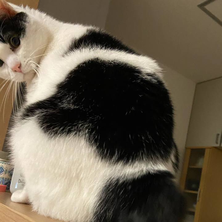 A45d0562 c57a 41b0 b125 0591affd74e3 1578482753487