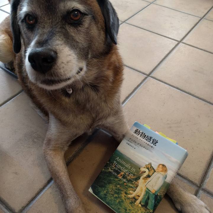 A45d0694 1881 4be7 8c8c 1b21f64e03cf 1513644305172