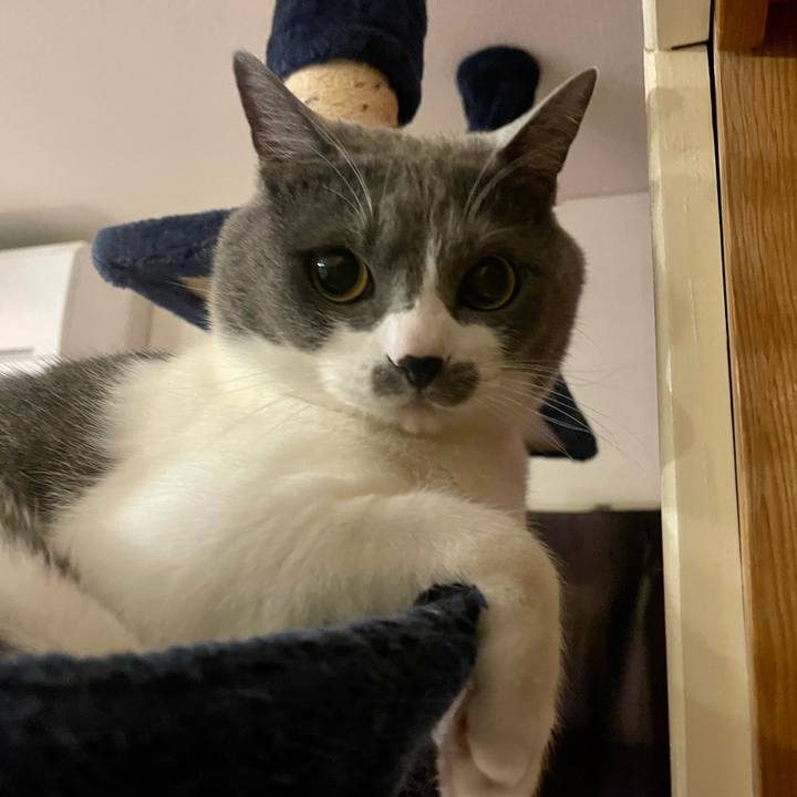 A45d38d7 0813 438a 9d8e e5235d3d5401 1679160132668