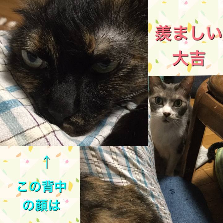 A45d676d e3e0 4a44 b0d7 bc9125087dca 1628080022757