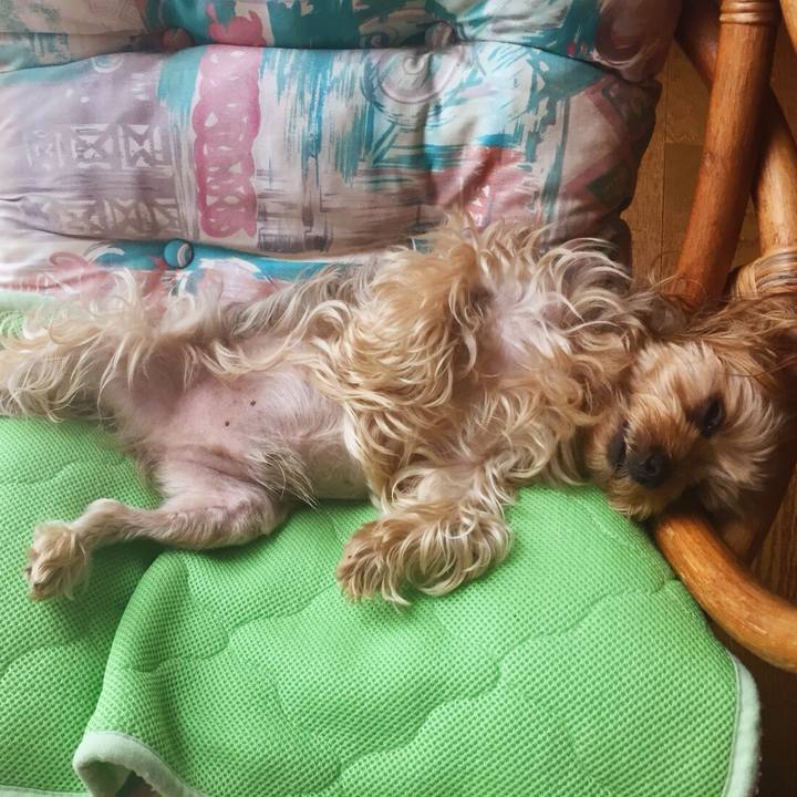 A45d69d0 c7ce 48a9 95b4 cbe1cfb86769 1535097803497