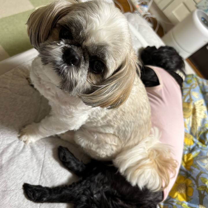 A45d72a5 5312 45f4 8eff b0765cfd9782 1758886636874