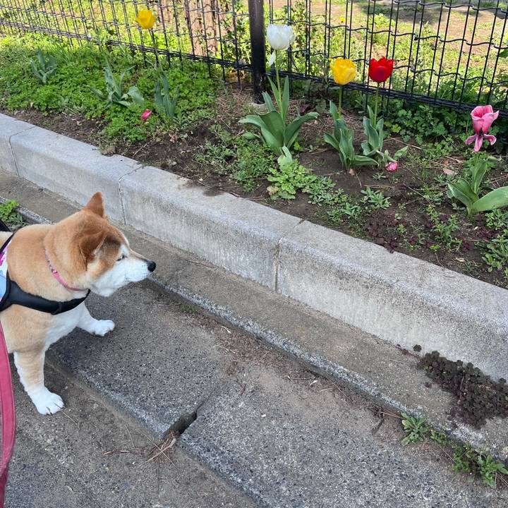 A45d98a9 9059 42bf a512 f4a82fe4d00d 1713143640711