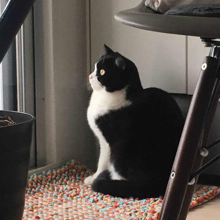 A45da8d4 859d 4971 a55d 2cc7676be8dd 1551571511534