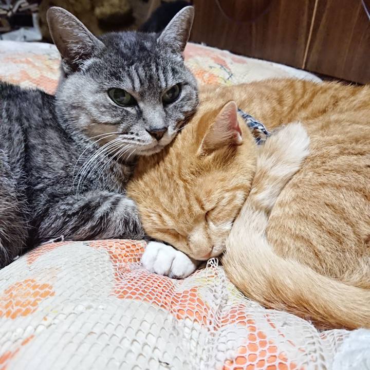 A45dd4bb 9643 4cb7 83e4 3ef2e629fd73 1574598827577