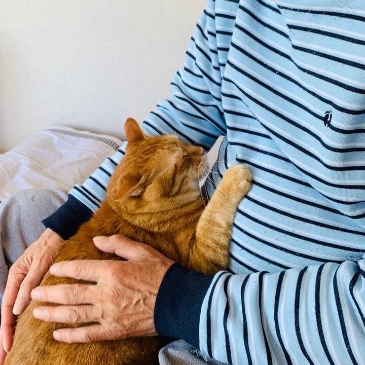 A45dd780 2a56 4171 b83a 99cc4f16e09b 1589512874664