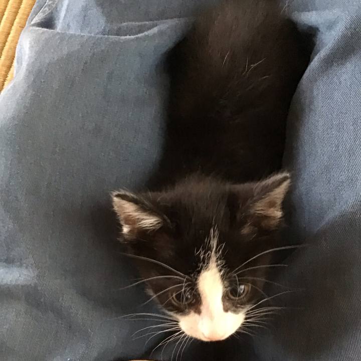 A45ded54 4b58 459d 8968 319e97a234be 1623544721149