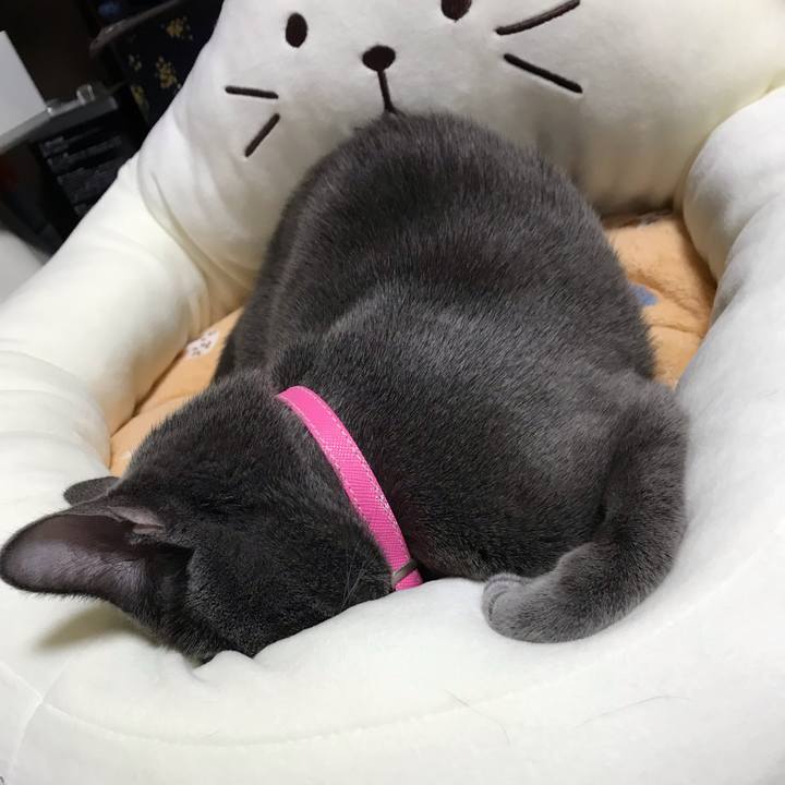 A45df7bf 53f9 4c24 a007 38a2659b6098 1550818417782