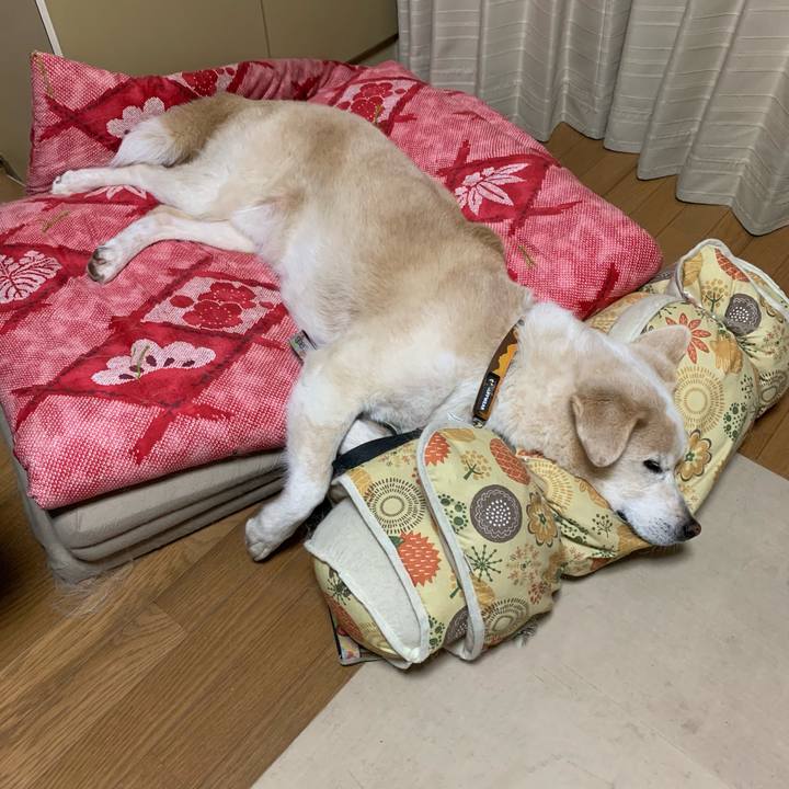 A45e219f 694d 4dd2 ab54 6fbc8a8451c6 1657967040126