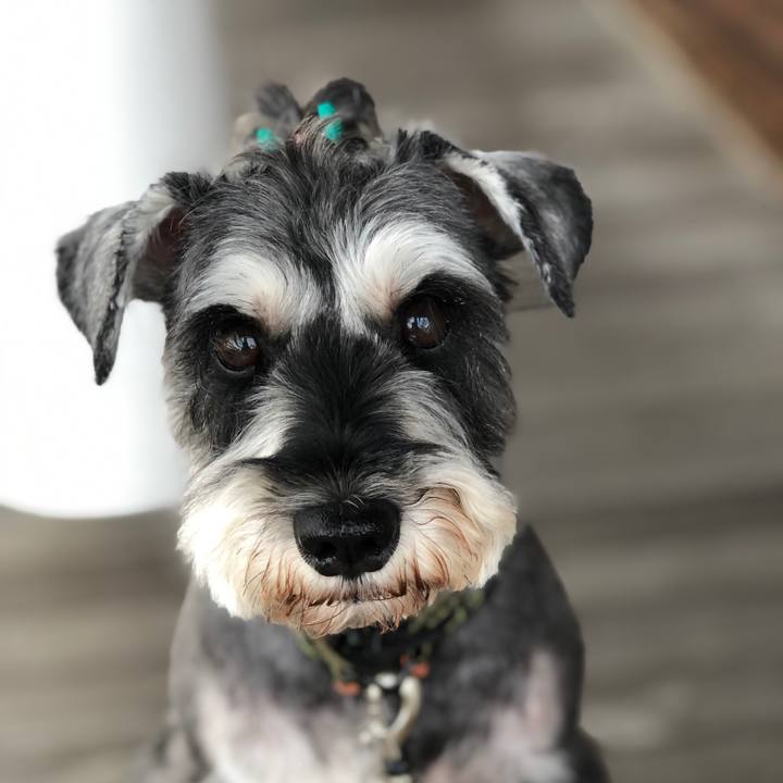 A45e2c39 2e98 498d b461 f1ef5ff0dd1a 1631353946538